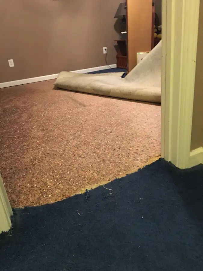 Carpet pad removal revealing water damage during Water Mitigation Services in Oviedo