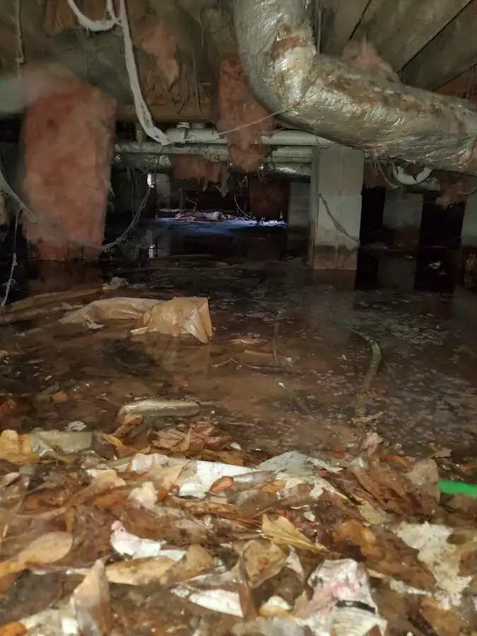 Crawl space flood assessment for Leak Detection & Repair in Oviedo